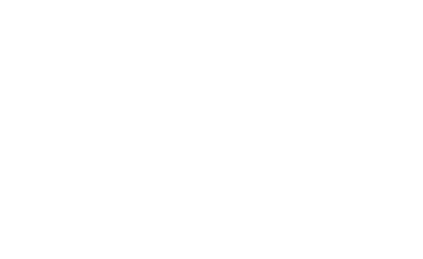 iBridge